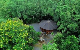 Hidden Treehouse In Khao Yai